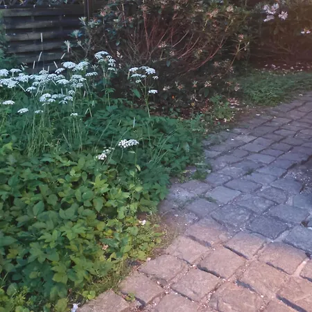 Lille Bolig Med Egen Indgang
